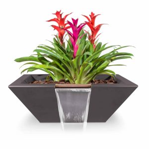 Plant & Water