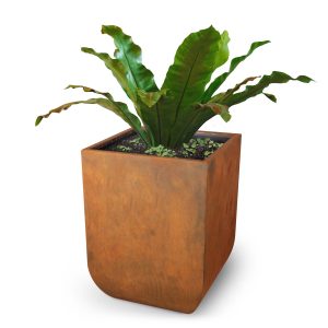 Corten Steel Planters
